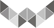 web-ex.tech-logo